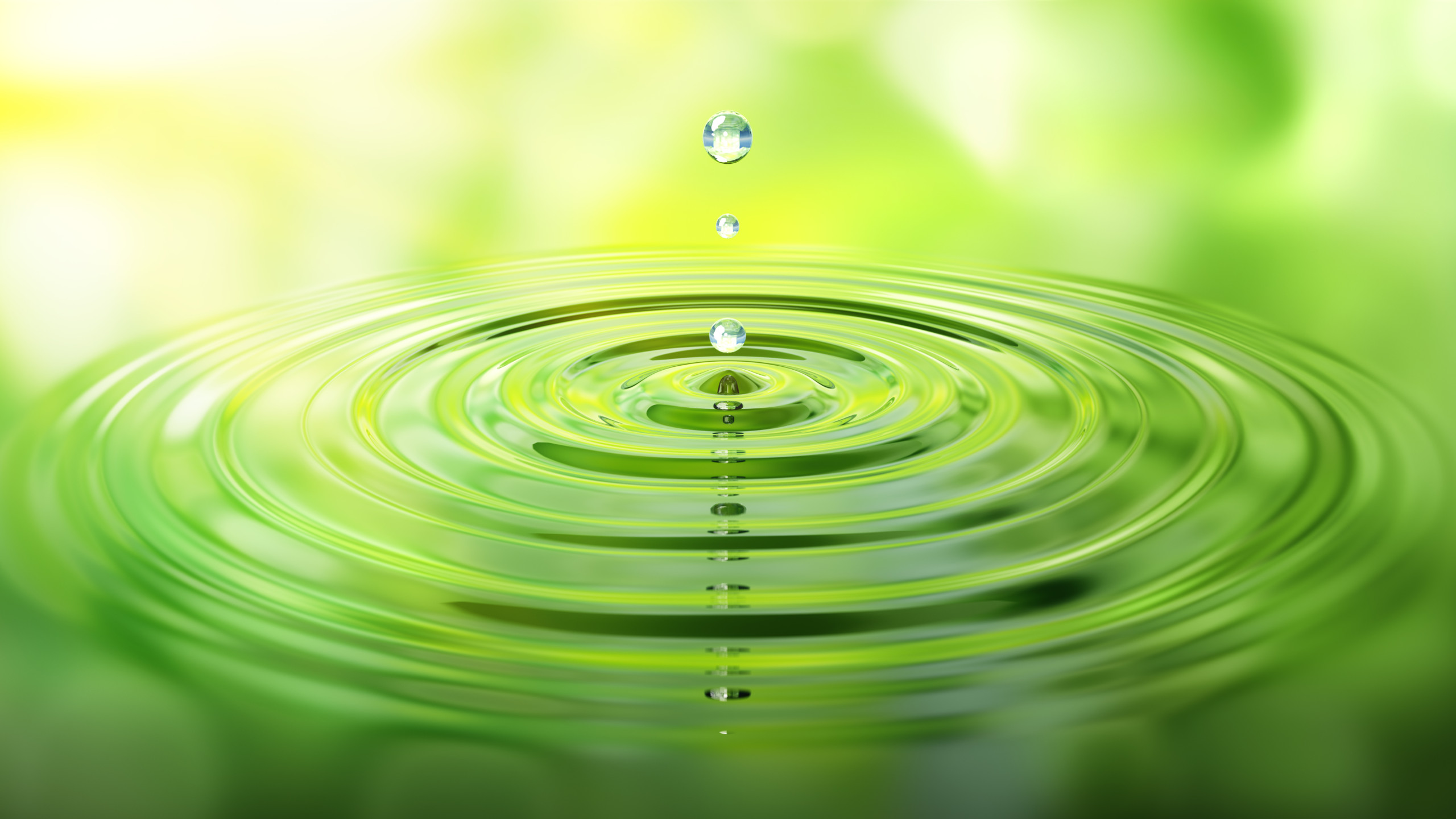 Nachhaltigkeitsberatung